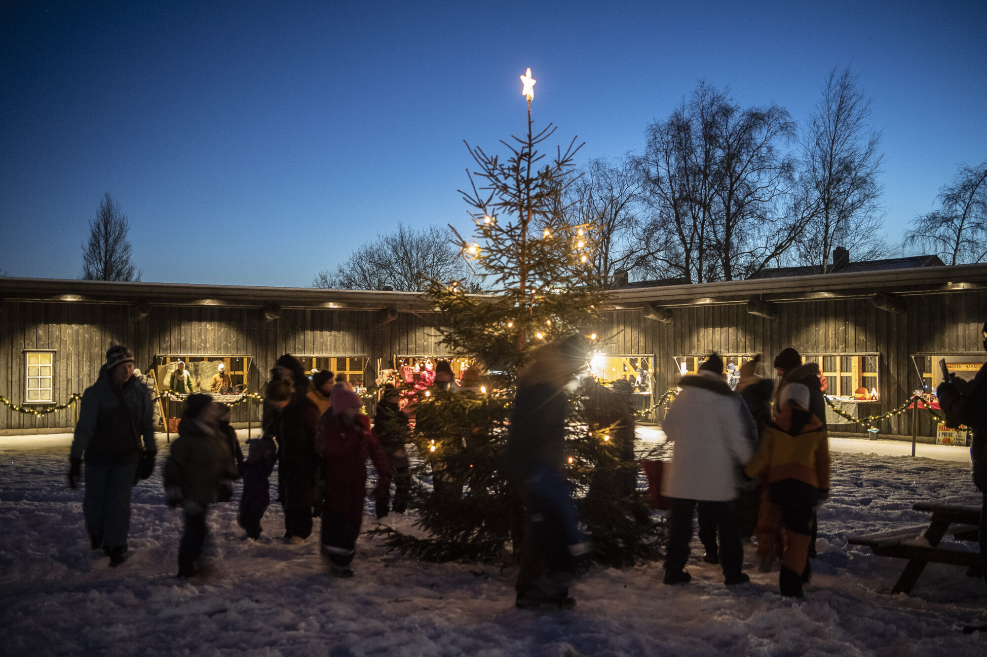 Mennesker som går rundt juletre med mørkeblå solnedgangshimmel i bakgrunnen